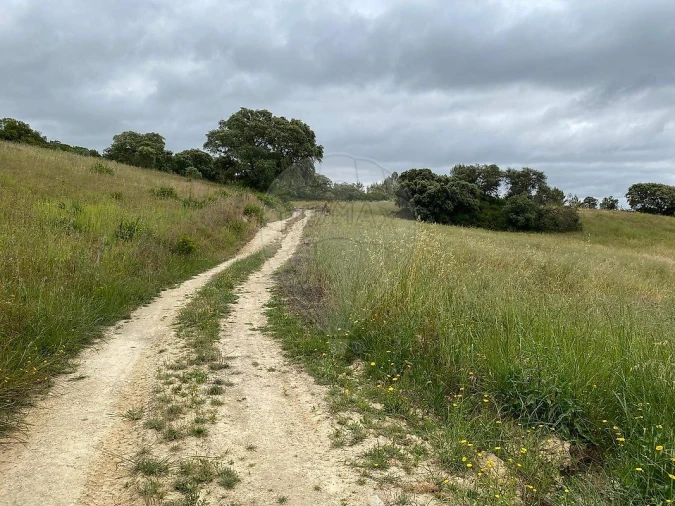 Terreno para Venda em Achete, Azoia de Baixo e Póvoa de Santarém Foto 7