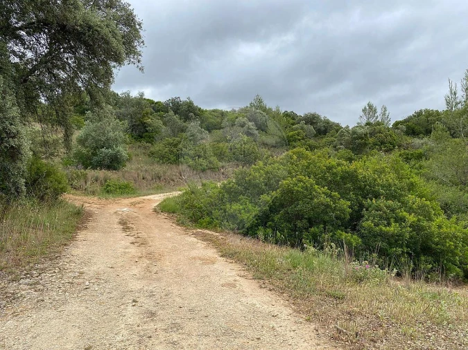 Terreno para Venda em Achete, Azoia de Baixo e Póvoa de Santarém Foto 2
