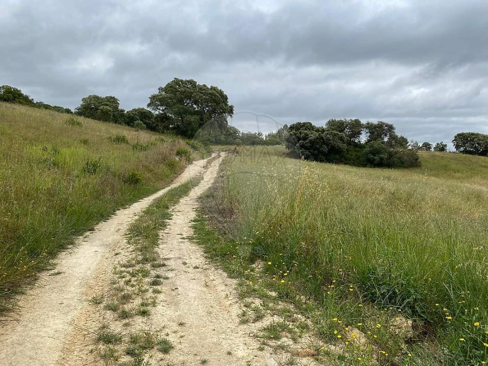 Terreno para Venda em Achete, Azoia de Baixo e Póvoa de Santarém Foto 7