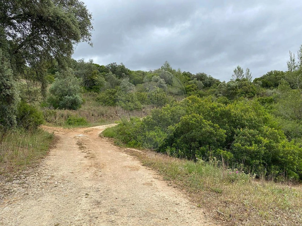 Terreno para Venda em Achete, Azoia de Baixo e Póvoa de Santarém Foto 2