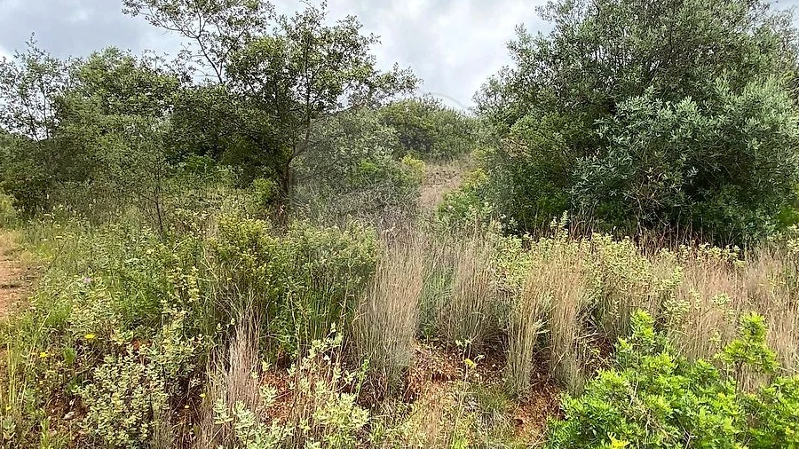 Terreno para Venda em Achete, Azoia de Baixo e Póvoa de Santarém
