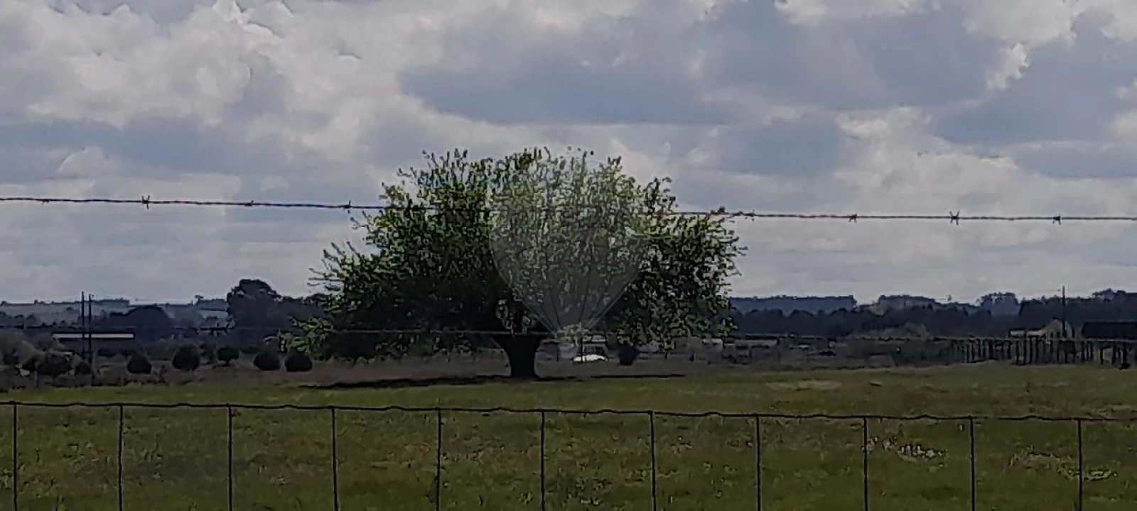 Terreno para Venda em Alpiarça Foto 1