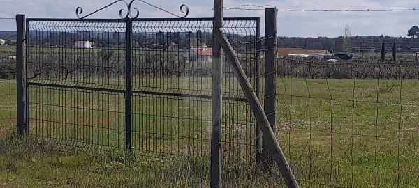 Terreno para Venda em Alpiarça