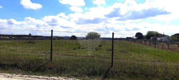 Terreno para Venda em Alpiarça