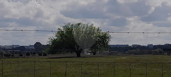 Terreno para Venda em Alpiarça