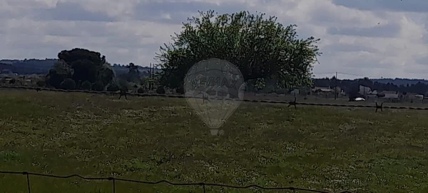 Terreno para Venda em Alpiarça