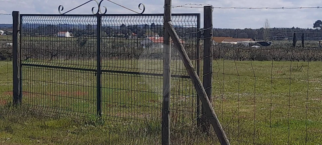 Terreno para Venda em Alpiarça Foto 7