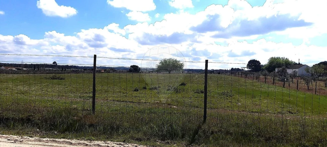Terreno para Venda em Alpiarça Foto 5