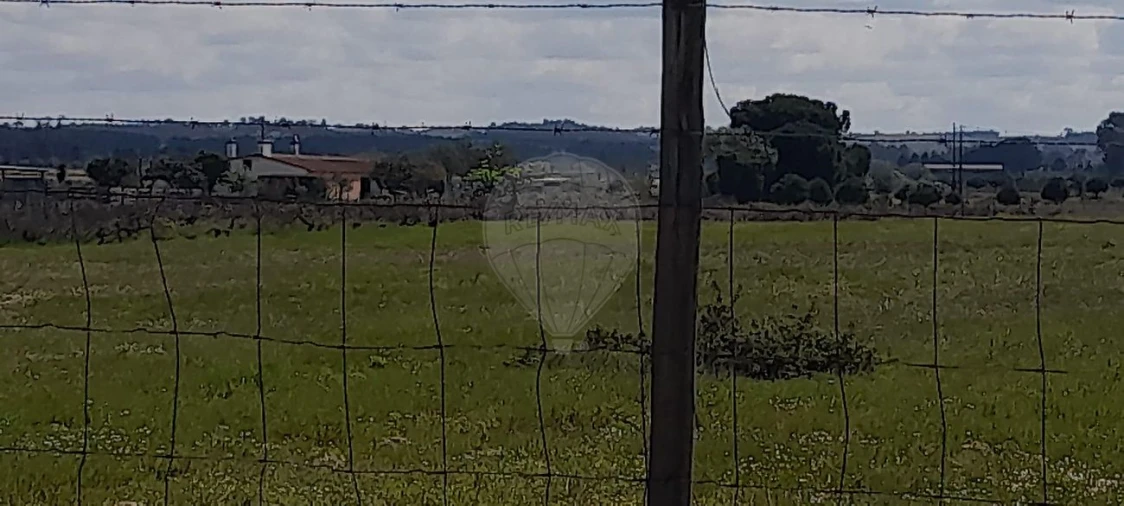Terreno para Venda em Alpiarça Foto 6