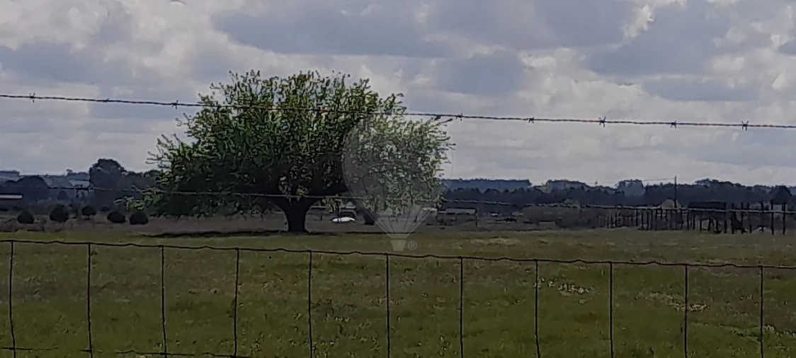 Terreno para Venda em Alpiarça Foto 2