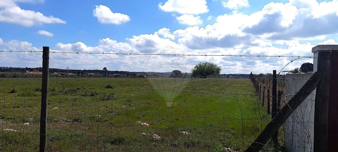 Terreno para Venda em Alpiarça Foto 3