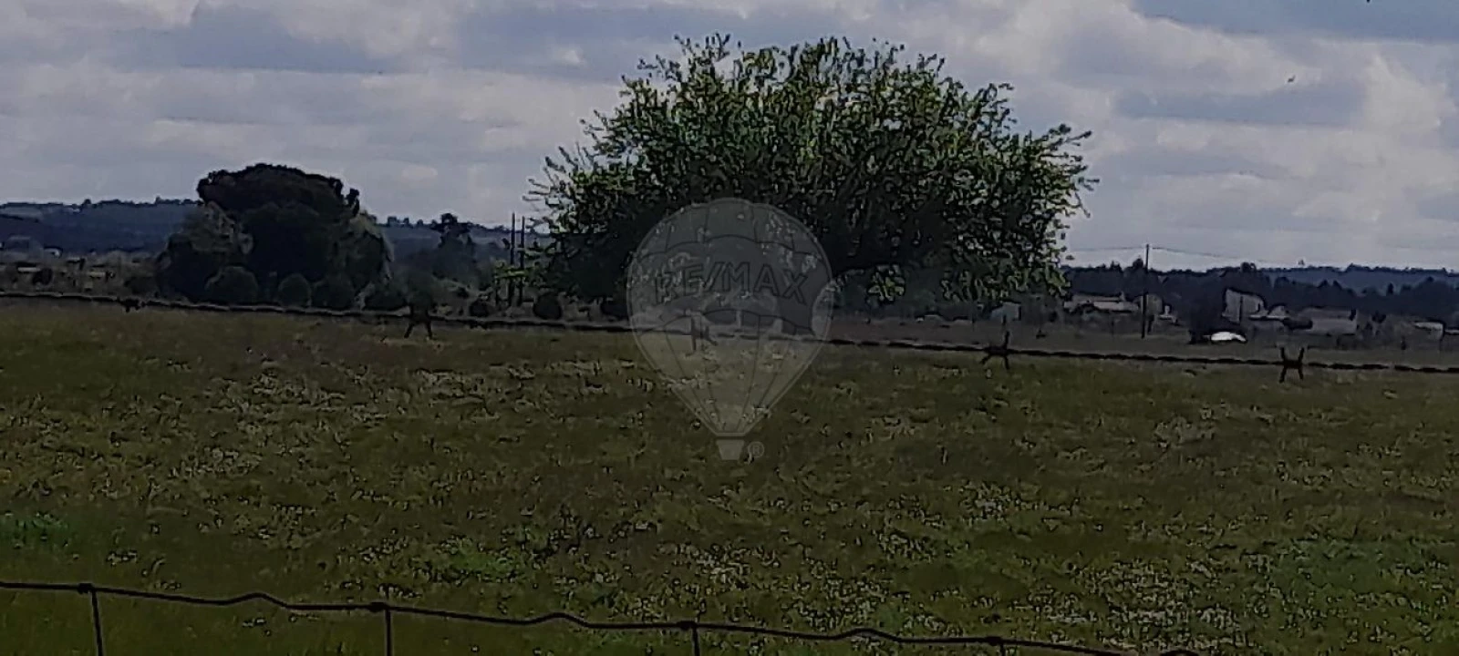 Terreno para Venda em Alpiarça Foto 4