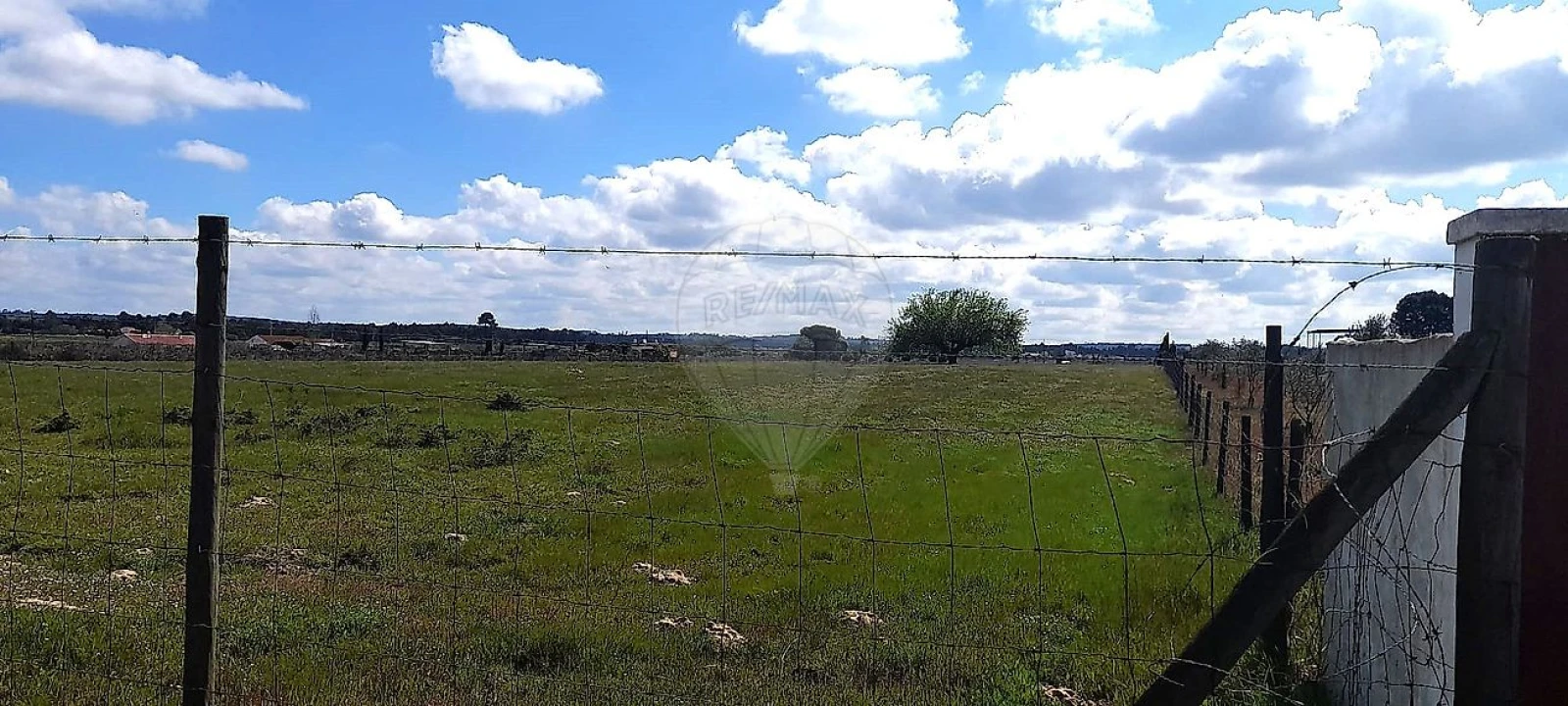 Terreno para Venda em Alpiarça Foto 3