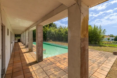 Quinta T5 para Venda em Grijó e Sermonde