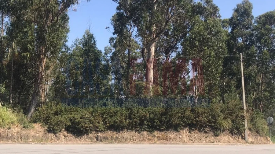 Terreno para Venda em Ermesinde