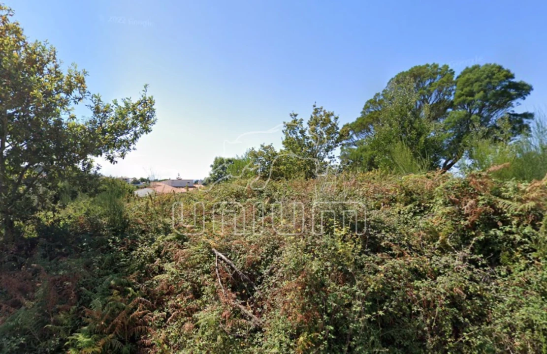 Terreno para Venda em Afife Foto 3
