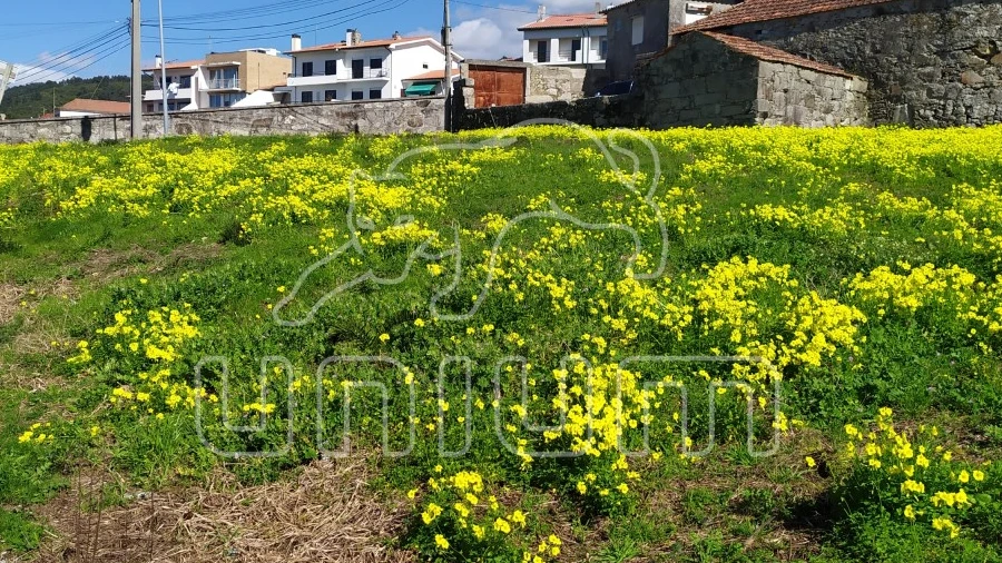 Terreno para Venda em Areosa
