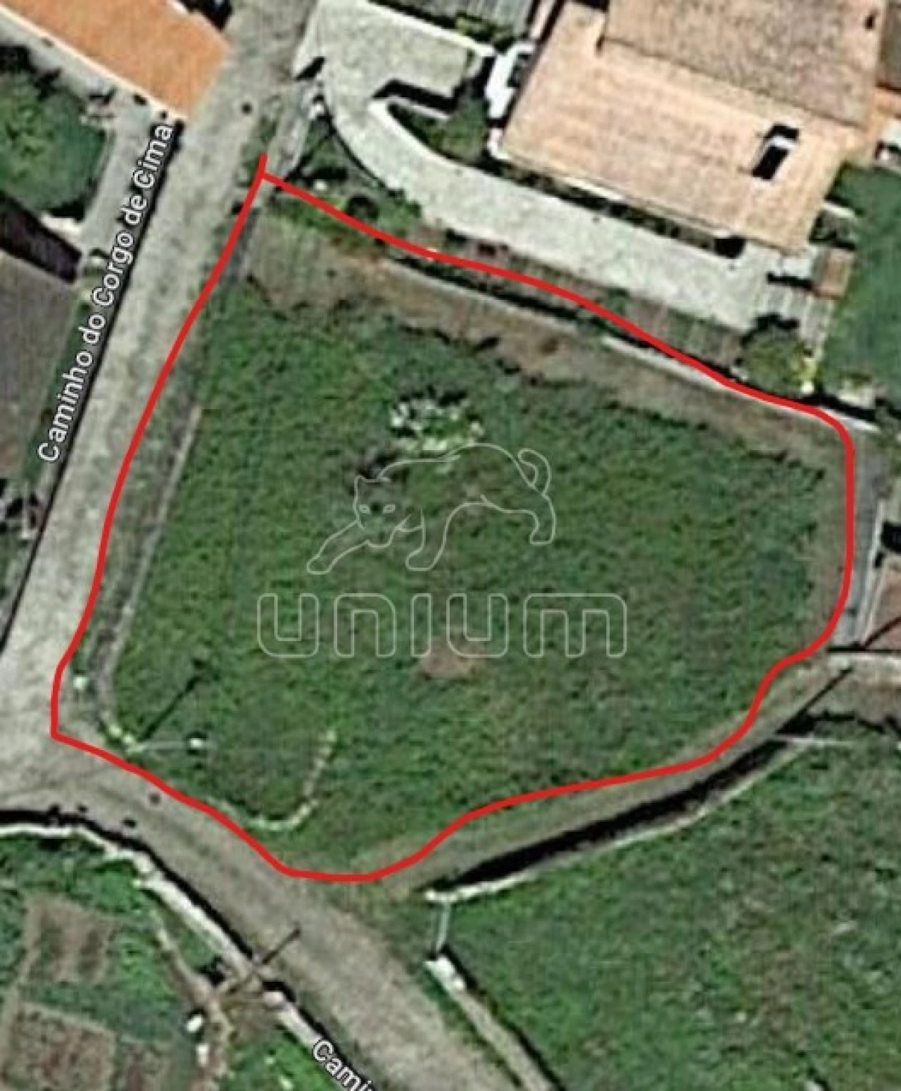 Terreno para Venda em Afife Foto 1