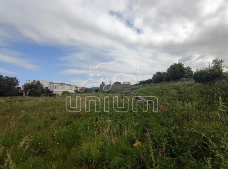 Terreno para Venda em Afife Foto 3