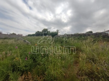 Terreno para Venda em Afife