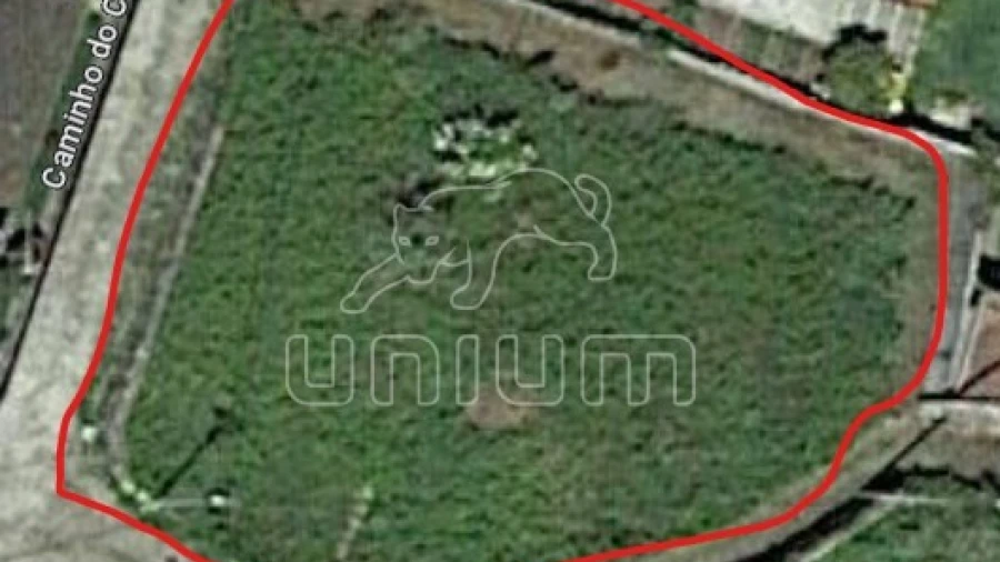 Terreno para Venda em Afife