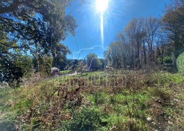 Terreno para Venda em Venade e Azevedo
