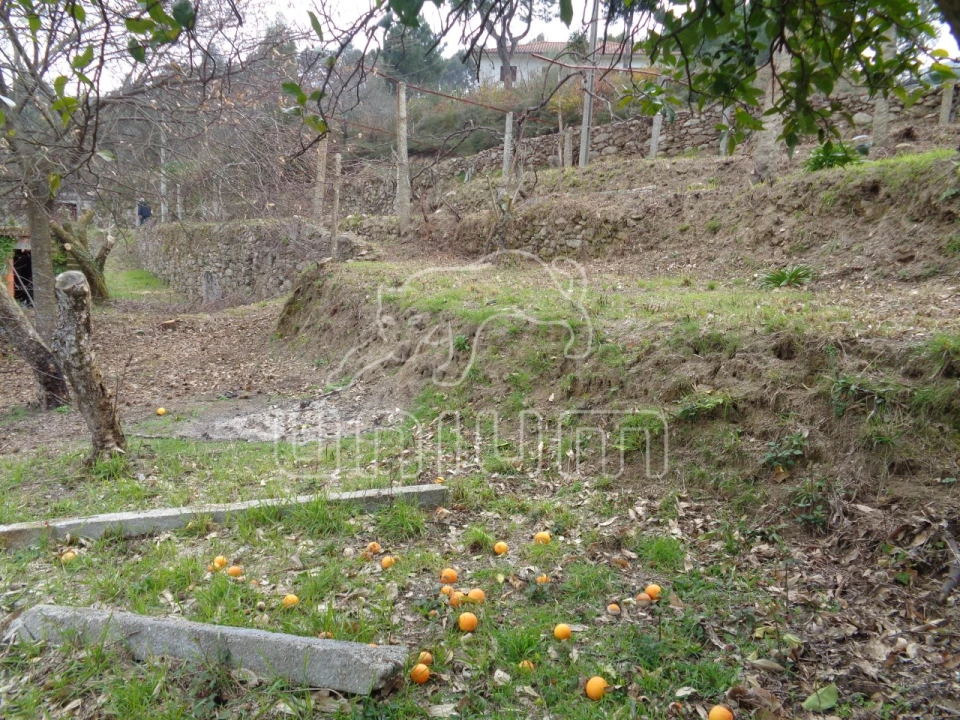 Terreno para Venda em Labruja Foto 1