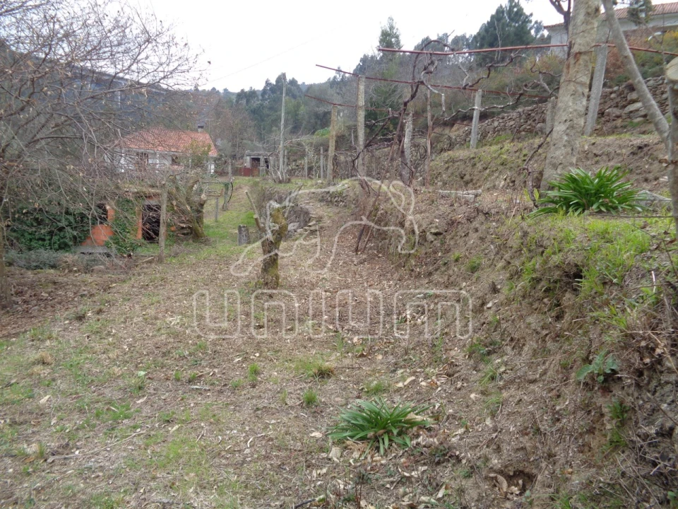Terreno para Venda em Labruja Foto 3