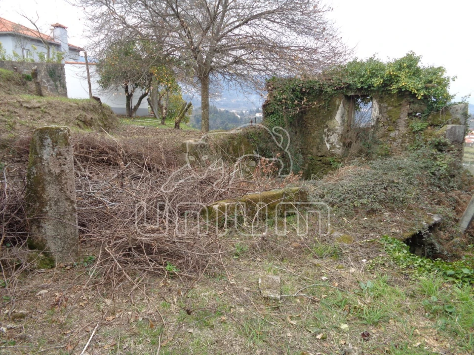 Terreno para Venda em Labruja Foto 6