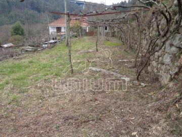 Terreno para Venda em Labruja