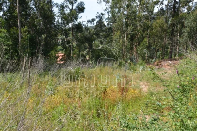 Terreno para Venda em Ribeira do Neiva