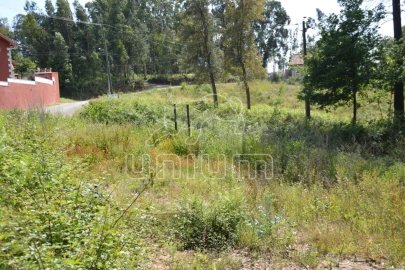 Terreno para Venda em Ribeira do Neiva