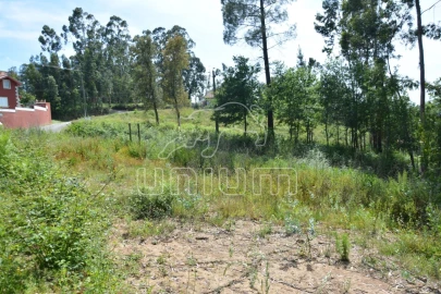 Terreno para Venda em Ribeira do Neiva