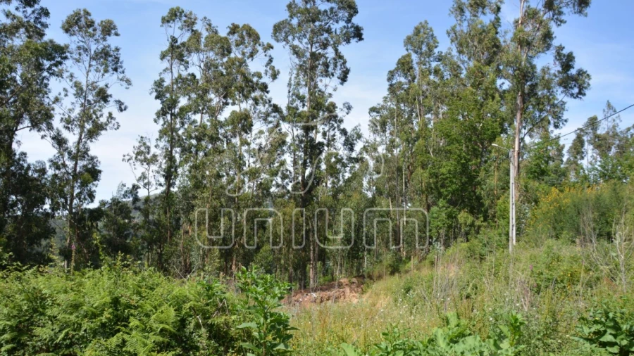 Terreno para Venda em Ribeira do Neiva