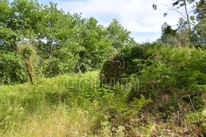 Terreno para Venda em Anais