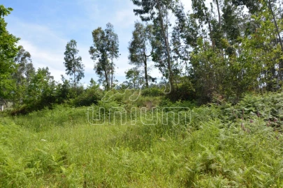 Terreno para Venda em Anais