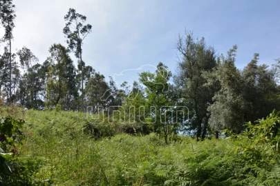 Terreno para Venda em Anais