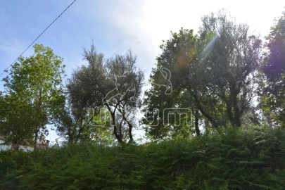Terreno para Venda em Anais