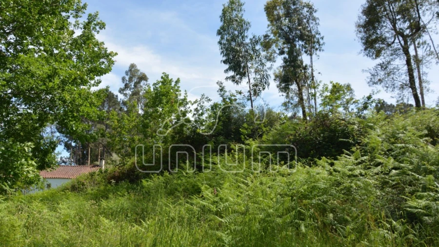 Terreno para Venda em Anais