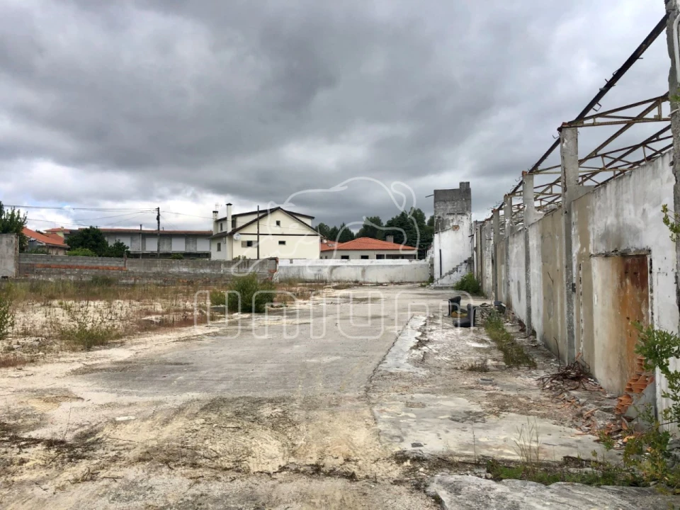 Terreno para Venda em Geraz do Lima (Santa Maria, Santa Leocádia, Moreira), Deão Foto 5