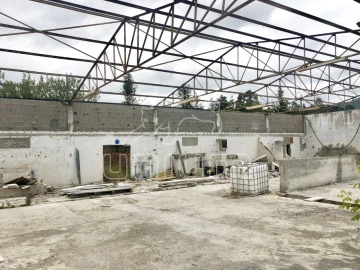 Terreno para Venda em Geraz do Lima (Santa Maria, Santa Leocádia, Moreira), Deão