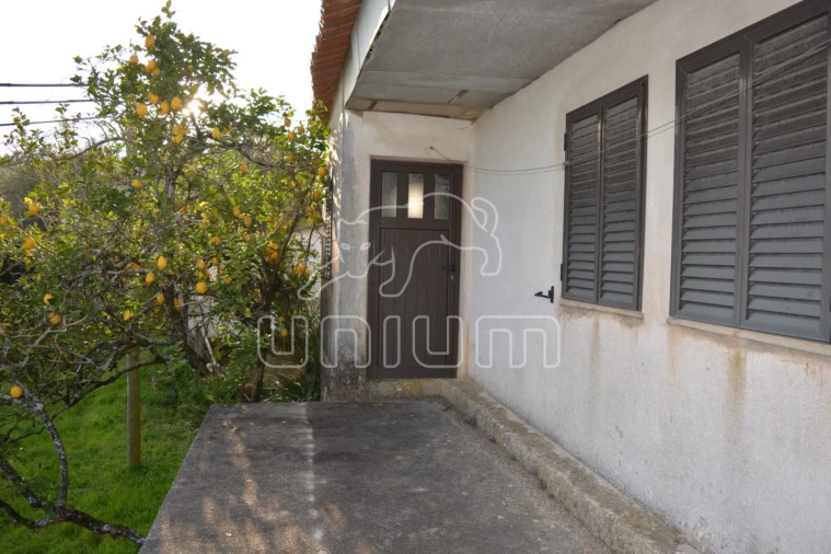 Quinta T3 para Venda em Cardielos e Serreleis Foto 3