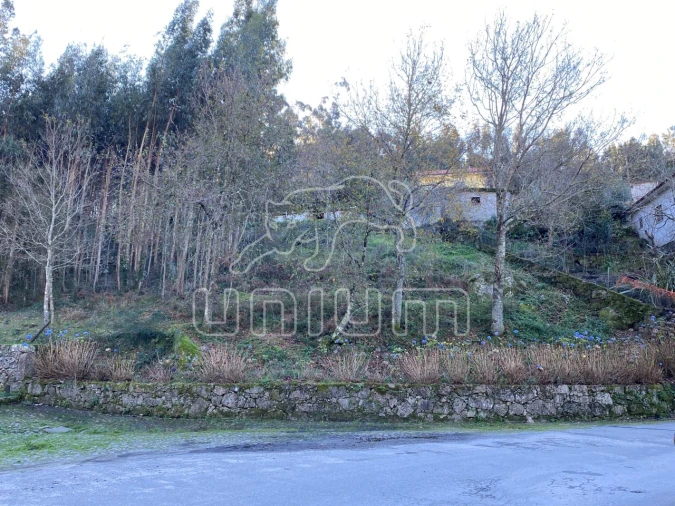 Terreno para Venda em Vila Nova de Anha Foto 3