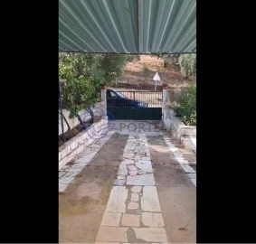 Moradia T2 para Venda em Terena (São Pedro)