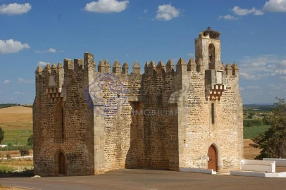 Moradia T2 para Venda em Terena (São Pedro)