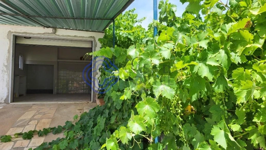 Moradia T2 para Venda em Terena (São Pedro) Foto 40