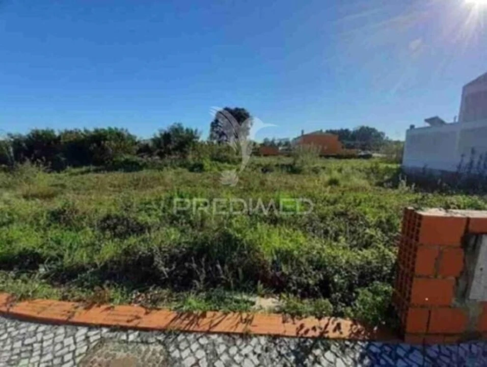 Terreno para Venda em Vagos e Santo António Foto 1