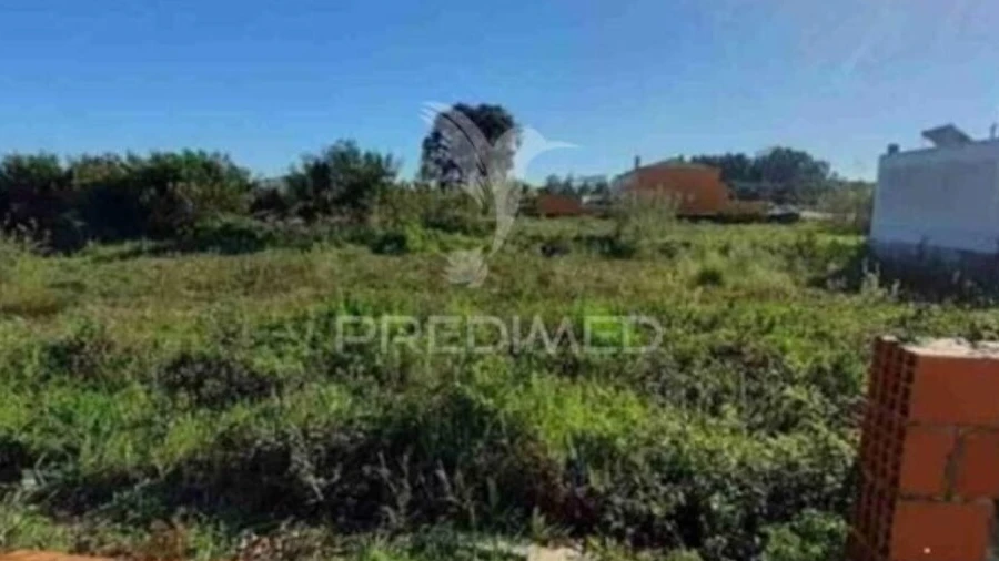 Terreno para Venda em Vagos e Santo António