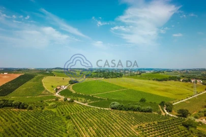 Moradia T4 para Venda em Peral