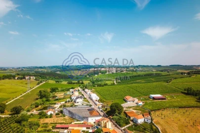 Moradia T4 para Venda em Peral